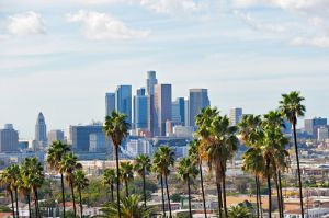 Large Storage Containers Los Angeles