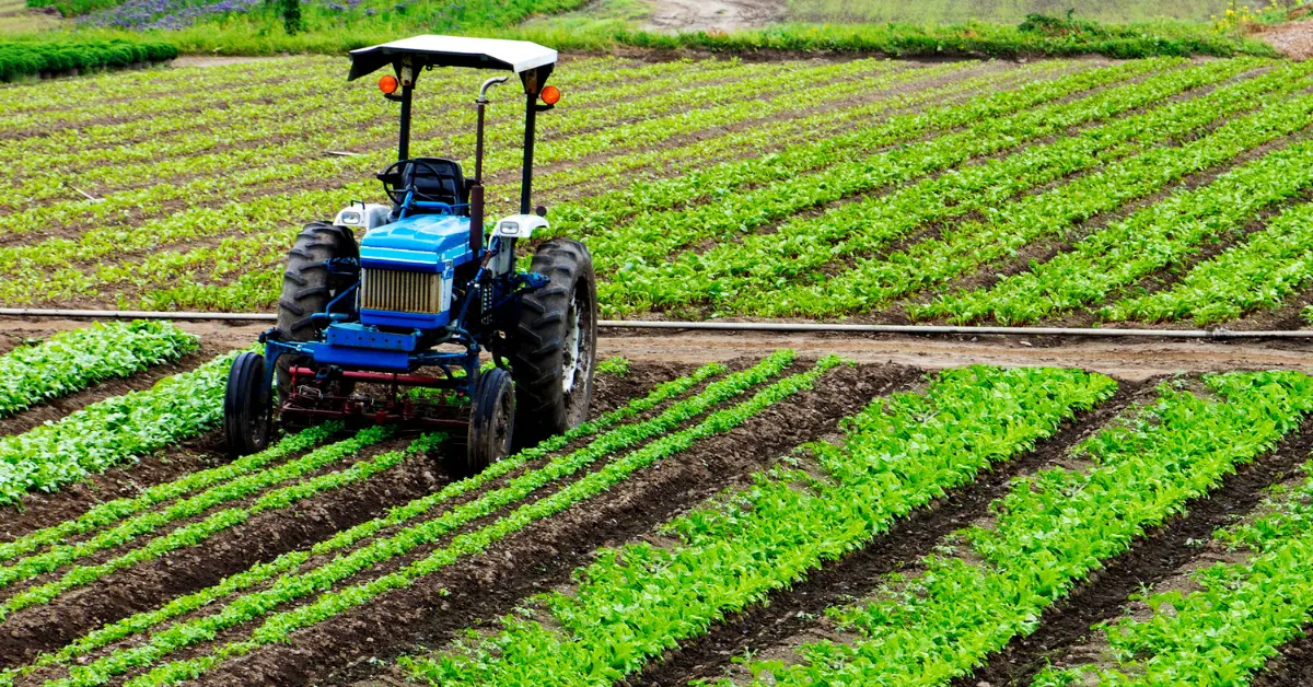 Innovative Agricultural Uses for Storage Containers